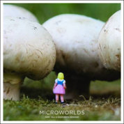 Microworlds