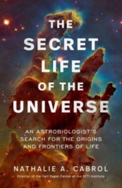 The Secret Life of the Universe