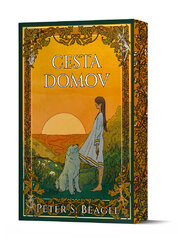 Cesta domov