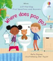 Where Does Poo Go