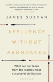 Affluence without Abundance