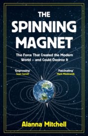 The Spinning Magnet