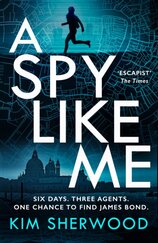 A Spy Like Me