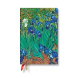 D2025 Van Goghs Irises Mini VERSO