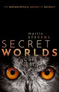 Secret Worlds