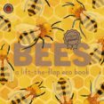 Bees: A lift-the-flap eco book