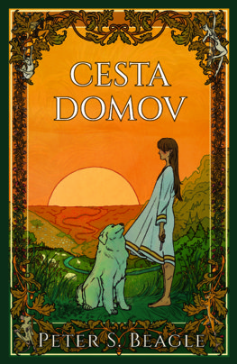 Cesta domov