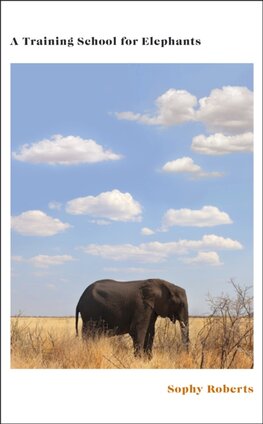 A Training School for Elephants