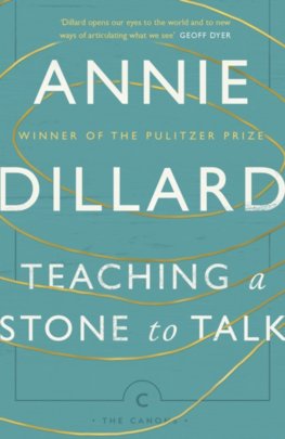 Teaching a Stone to Talk